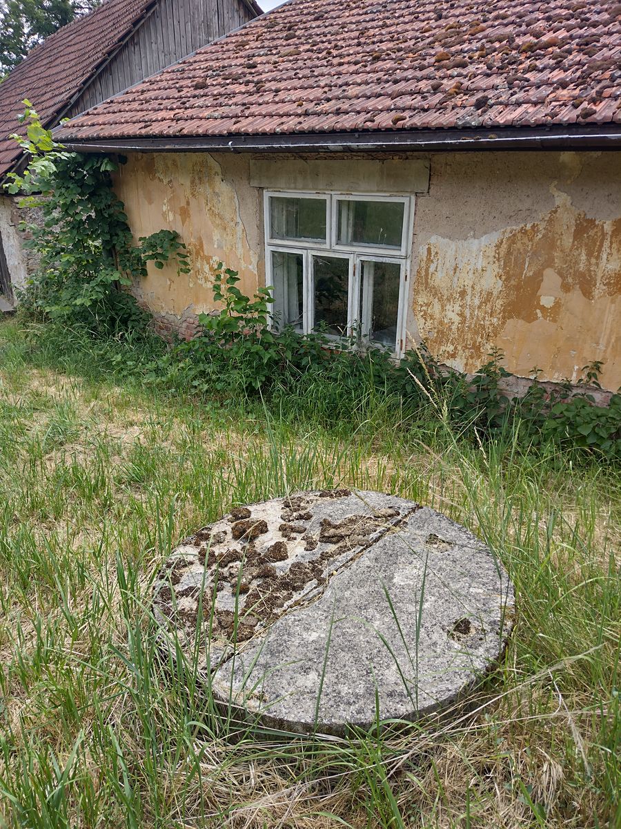 Prodej rodinného domu 172 m², pozemek 1702 m² – fotografie 4