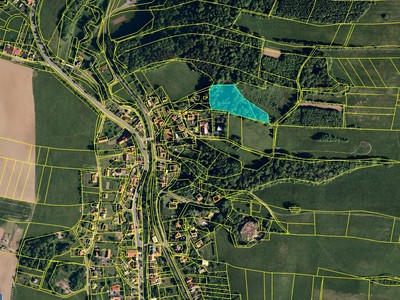 Prodej  lesa 7 376 m²