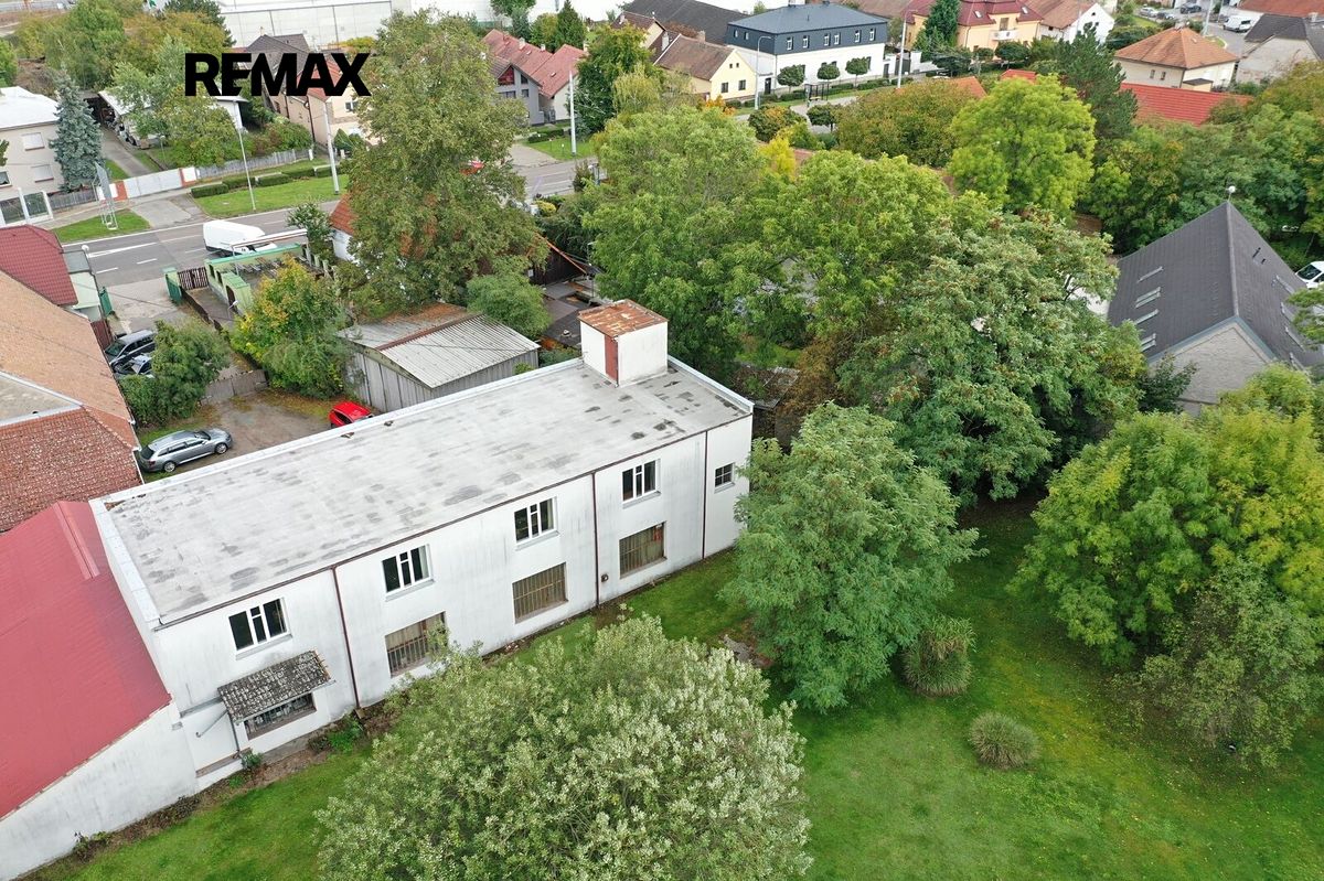 Pronájem kanceláře 186 m² – fotografie 5