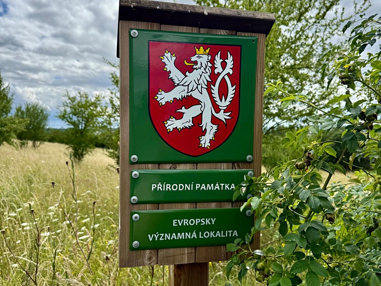 Ділянка на продаж, 1 659 м² (5 з 14)