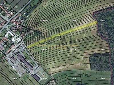 Prodej  pole 2 887 m²