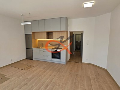 Pronájem bytu 2+kk 48 m²