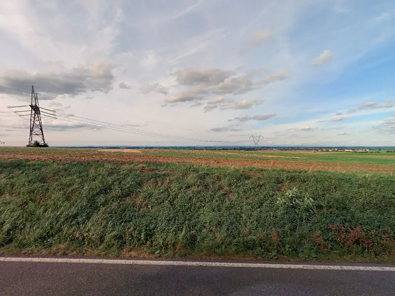Prodej pole 8574 m², Přišimasy – náhled fotky 3