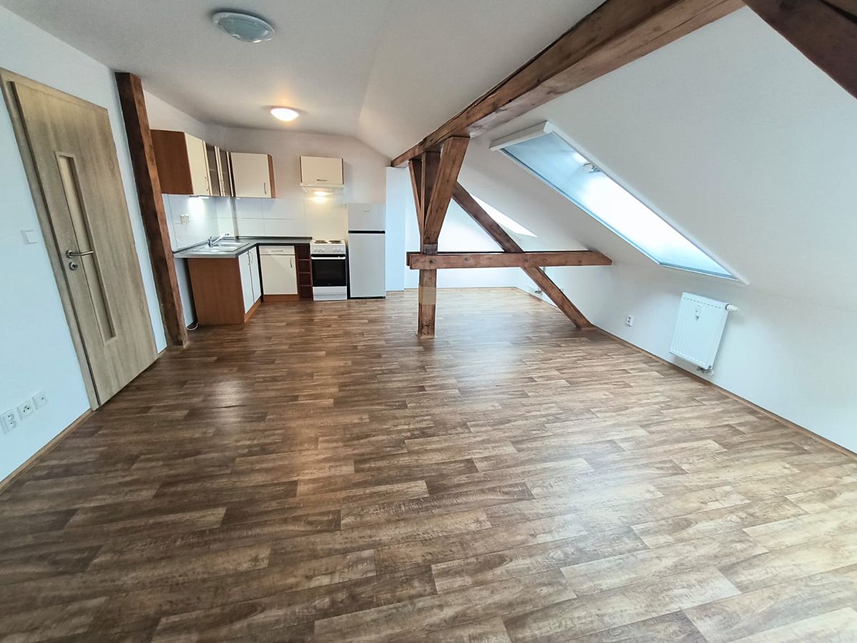 Pronájem bytu 1+kk 52 m²