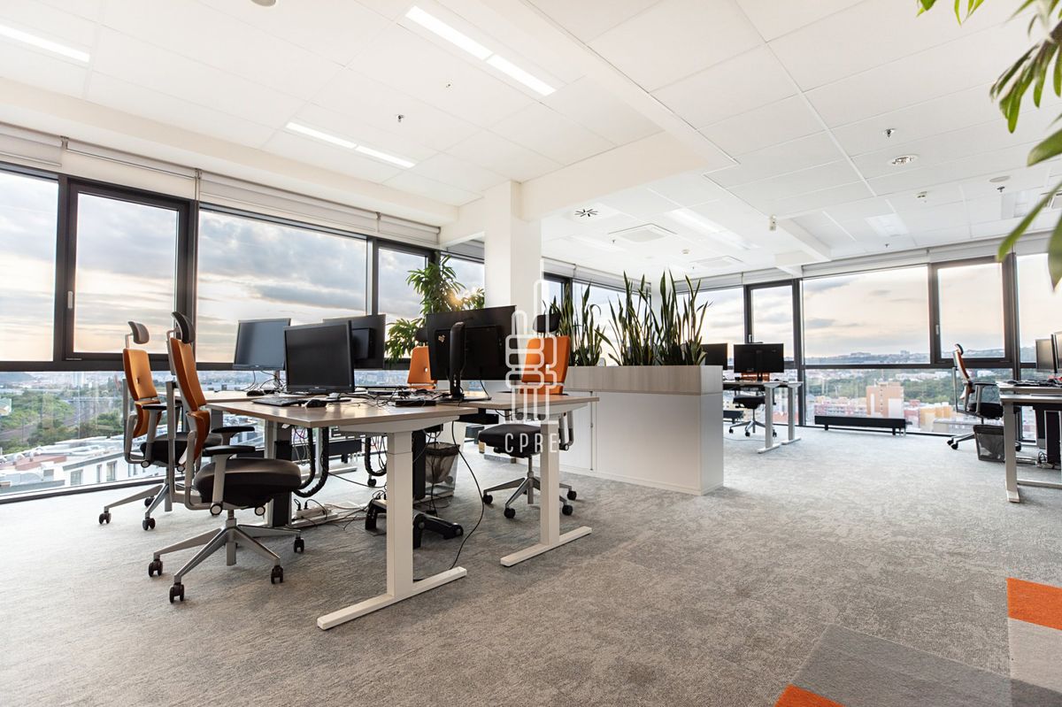 Pronájem kanceláře 569 m² – fotografie 2