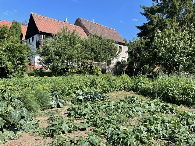 Prodej rodinného domu 589 m², pozemek 1606 m² – fotografie 4