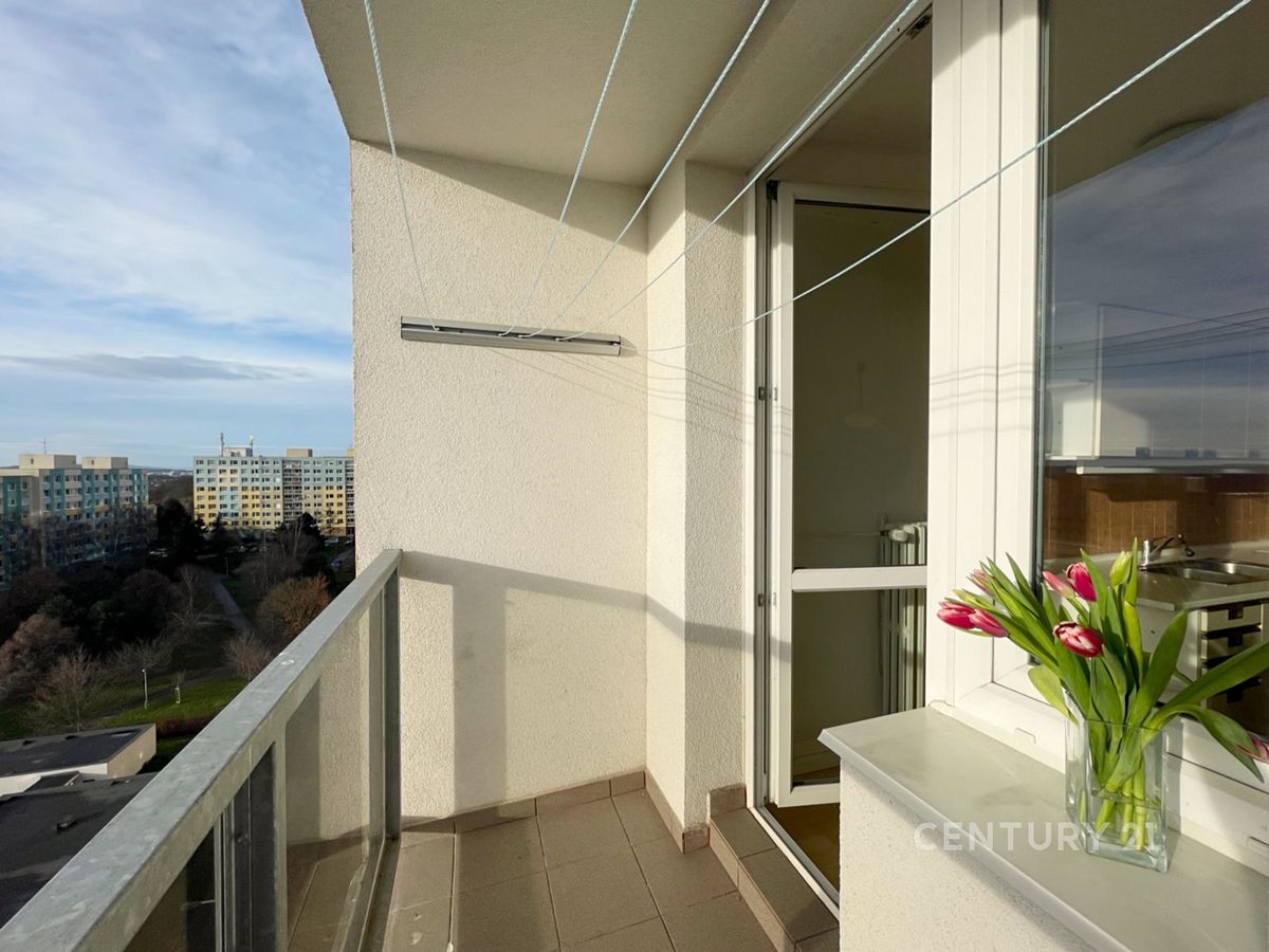 Pronájem bytu 1+1 41 m² – fotografie 3