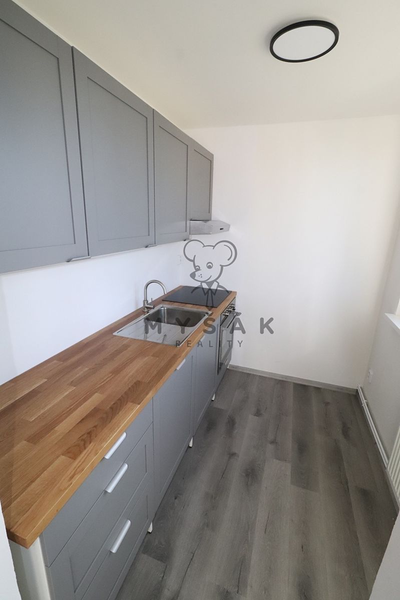 Pronájem bytu 3+kk 58 m² – fotografie 4
