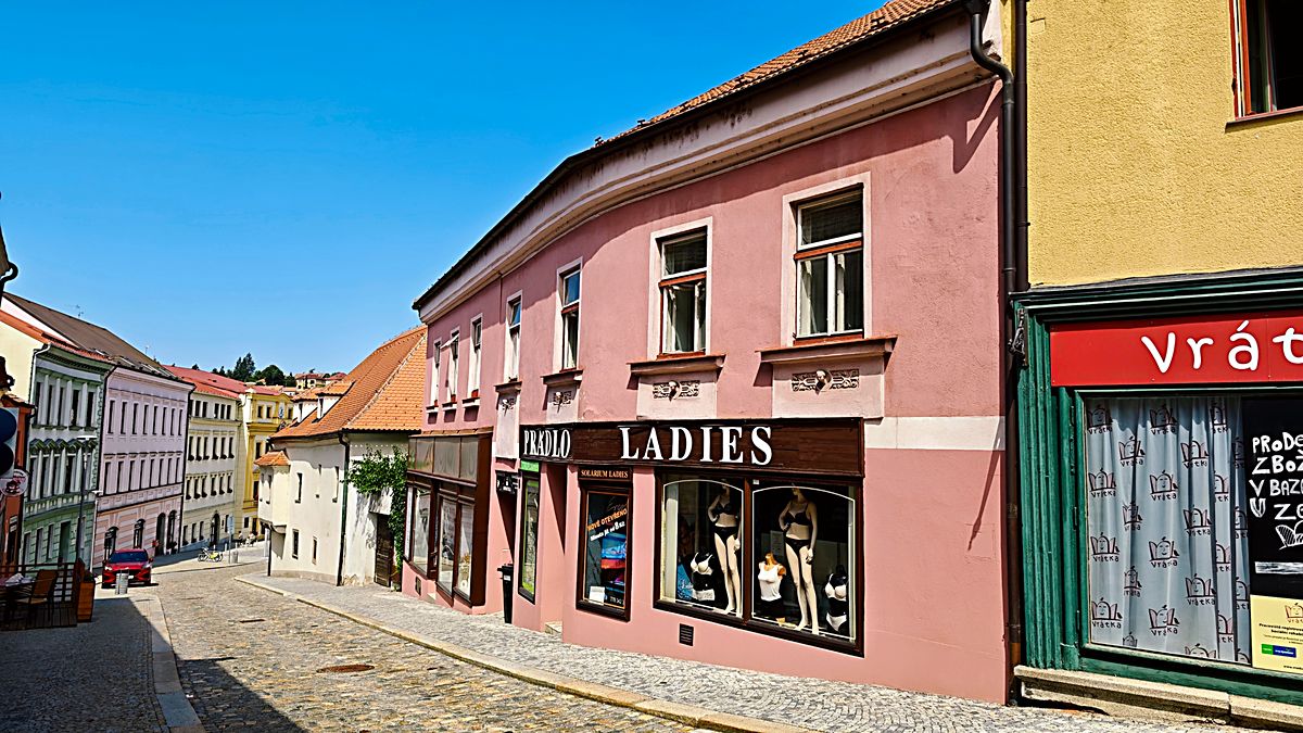 Prodej vícegeneračního domu 600 m², pozemek 294 m²