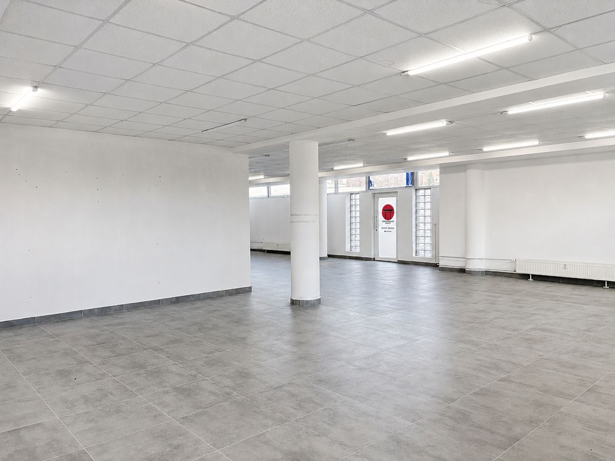 Pronájem obchodního prostoru 260 m² – fotografie 4
