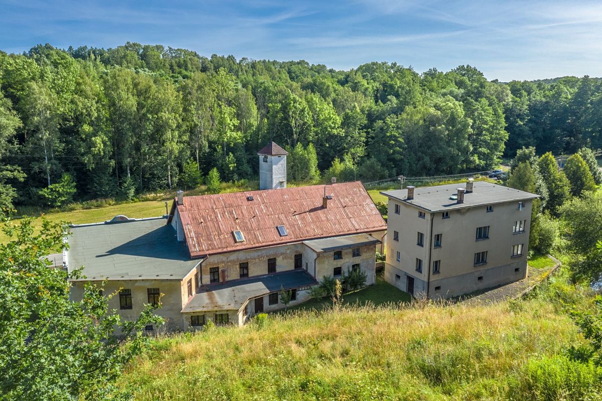 Prodej rodinného domu 250 m², pozemek 3692 m² – fotografie 4