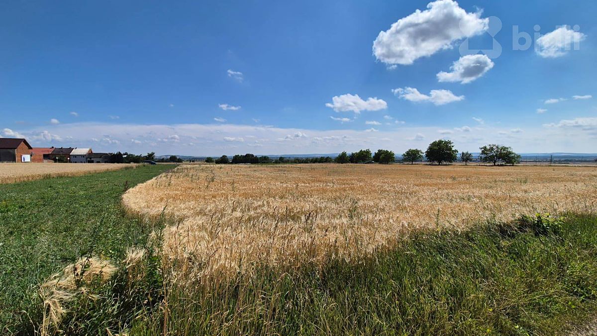 Prodej pole 3577 m² – fotografie 3