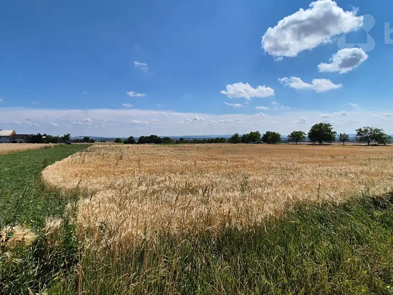 Prodej pole 3577 m², Stará Ves – náhled fotky 3