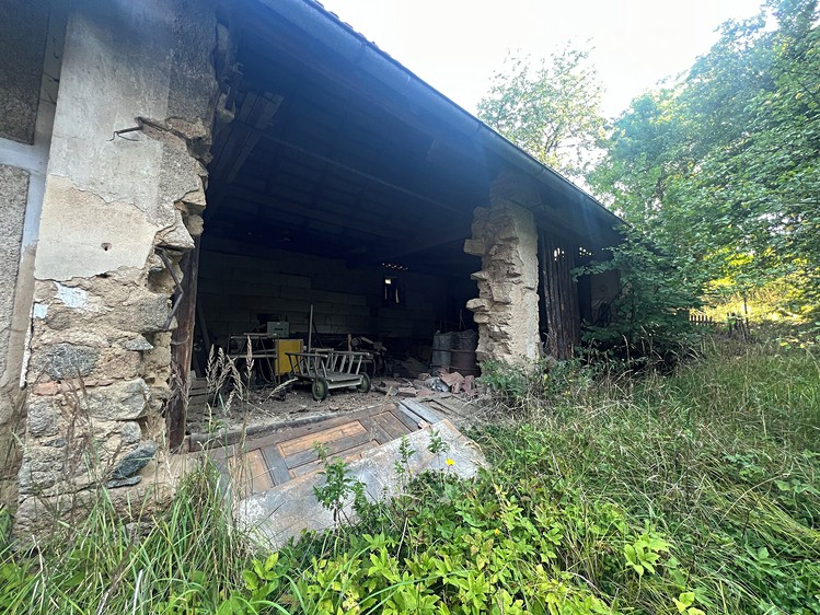 Haus zum Kauf, 250 m² (4 von 18)