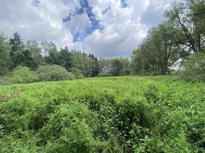 Prodej rybníku (vodní plochy) 6751 m²