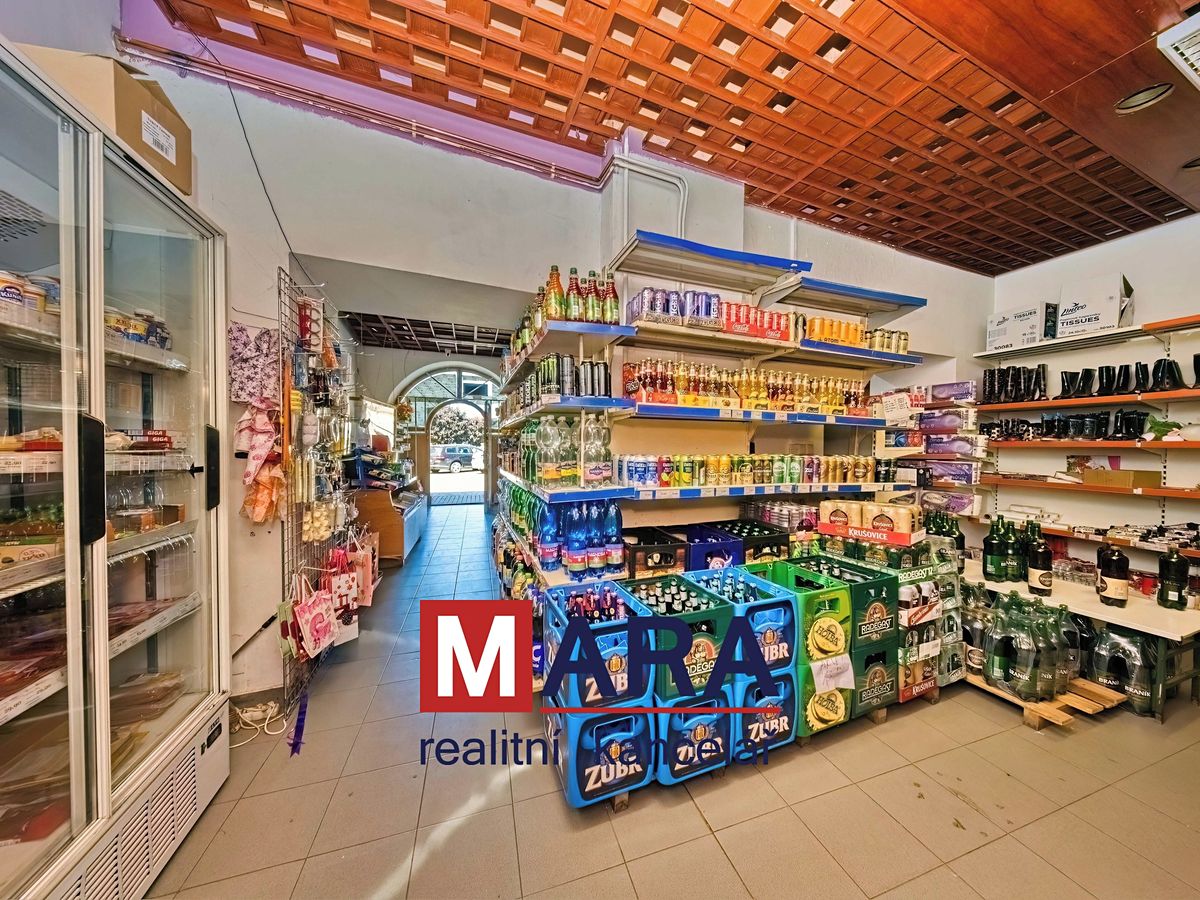Prodej rodinného domu 739 m², pozemek 1095 m² – fotografie 3