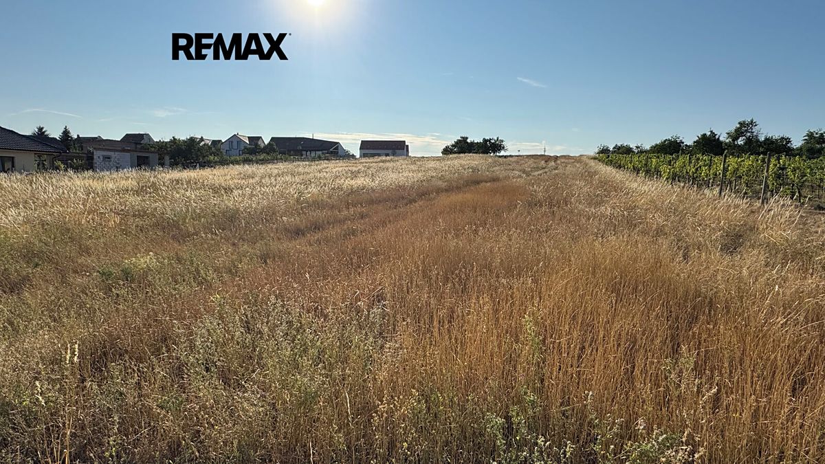 Prodej stavebního pozemku 6921 m² – fotografie 2