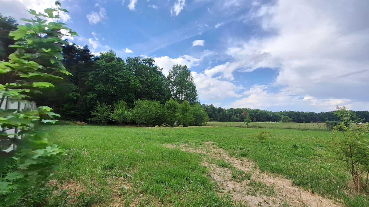 Prodej stavebního pozemku 1485 m², Litvínovice – fotka 1 z 3