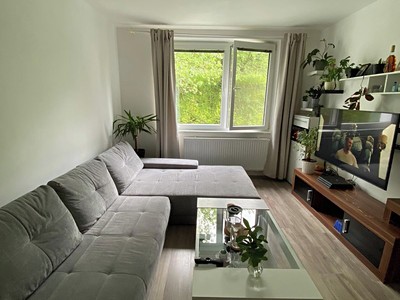 Pronájem bytu 2+1 56 m²