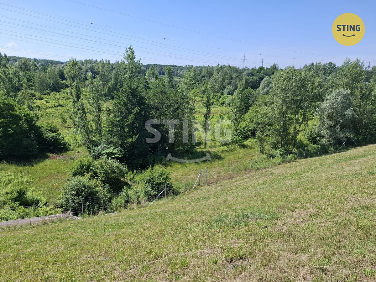 Pronájem louky 29433 m² – fotografie 2