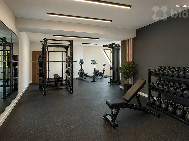 Prodej domu, 1 250 m² (24 z 32)