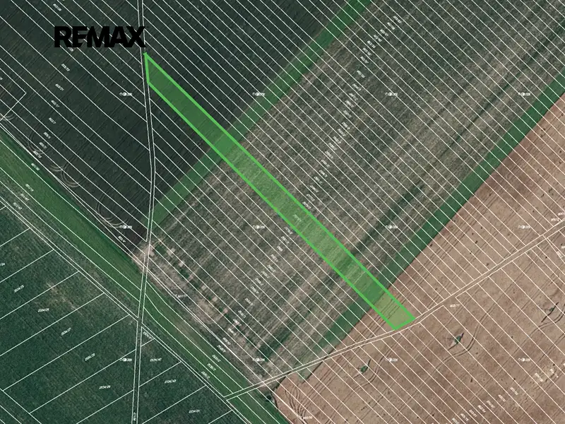 Prodej pole 4449 m², Josefov – náhled fotky 2