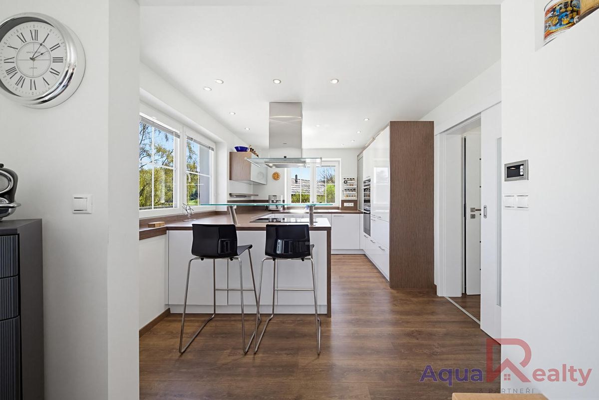 Prodej rodinného domu 250 m², pozemek 4306 m² – fotografie 3