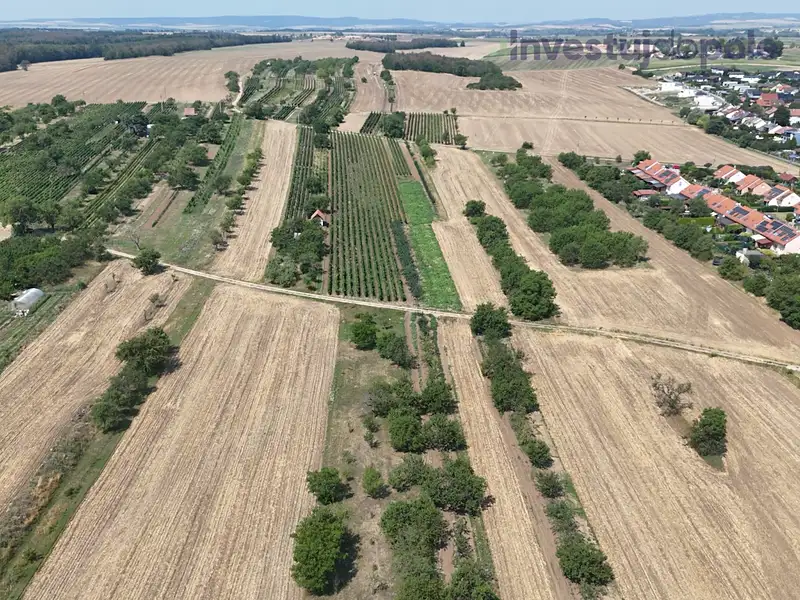 Prodej zahrady 2415 m², Hrušovany u Brna – náhled fotky 2