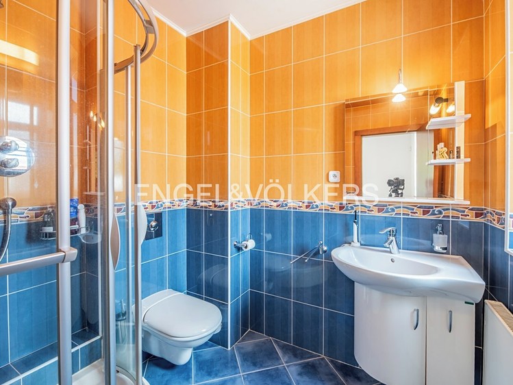 Prodej domu, 385 m² (10 z 17)