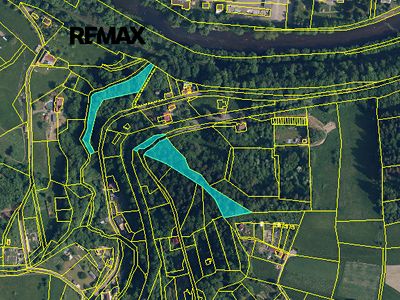 Prodej lesa 5535 m²