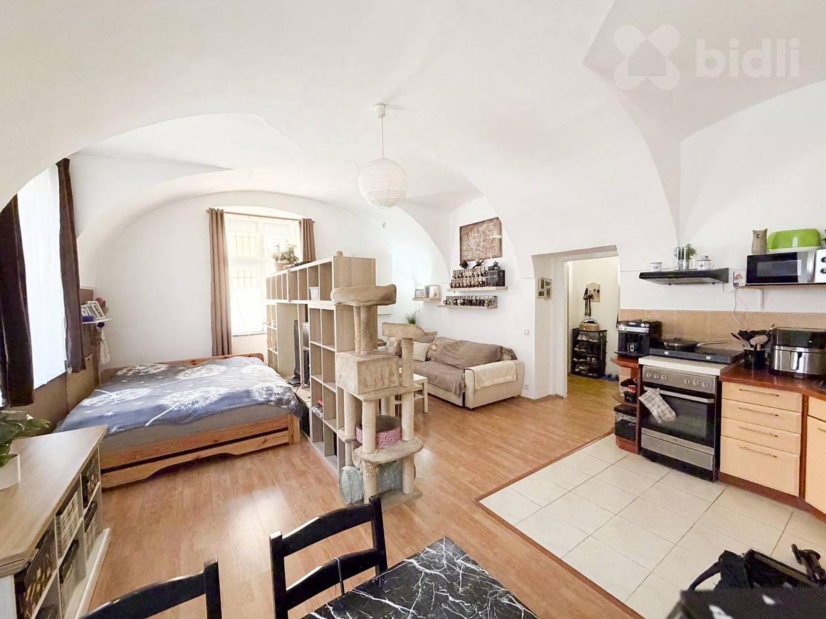Prodej bytu 1+kk 57 m² – fotografie 4