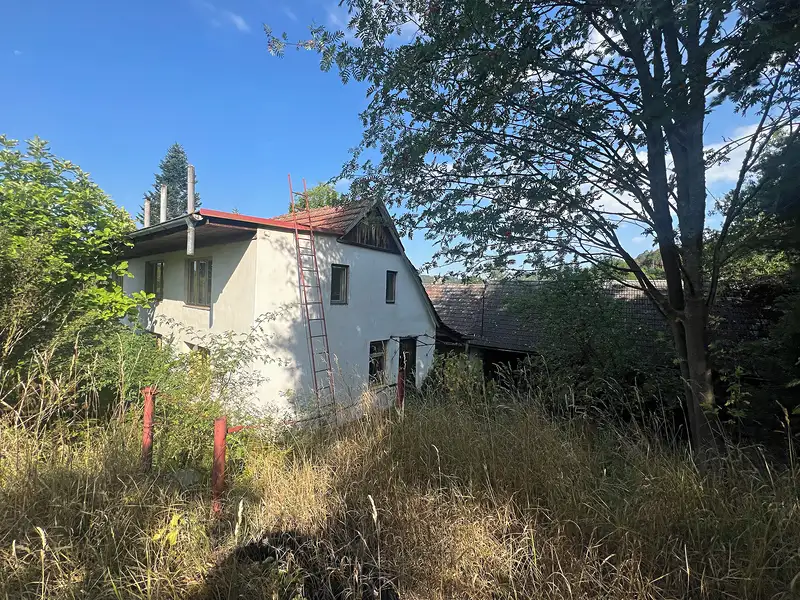 Prodej rodinného domu 250 m², pozemek 3975 m², Týnec nad Sázavou – náhled fotky 1