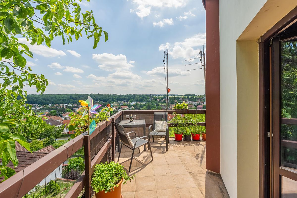 Prodej vily 460 m², pozemek 920 m² – fotografie 4