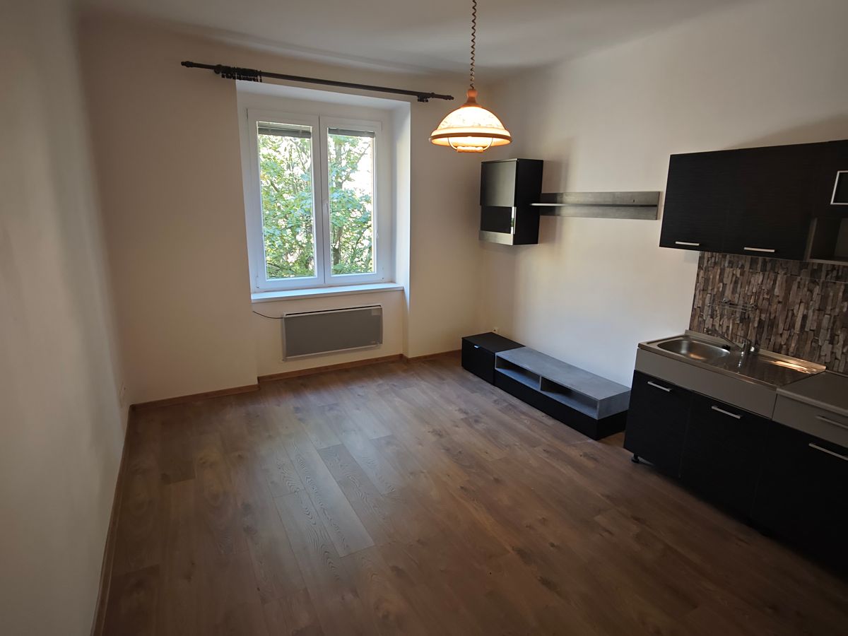 Pronájem bytu 1+1 43 m²