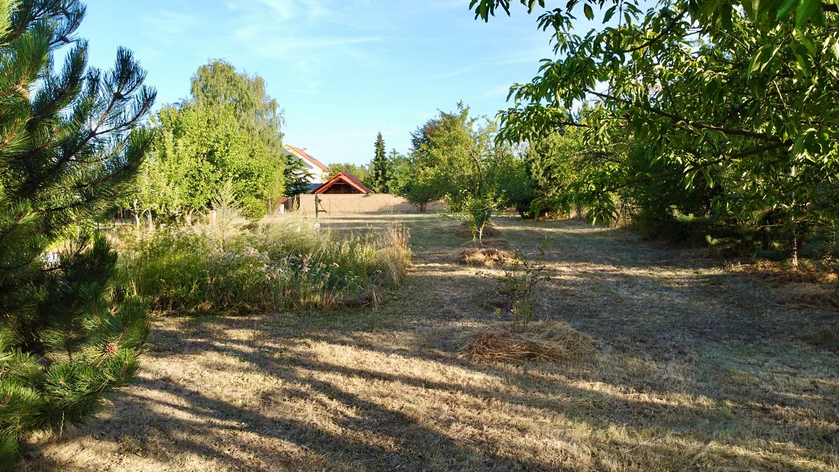Prodej stavebního pozemku 1466 m² – fotografie 4