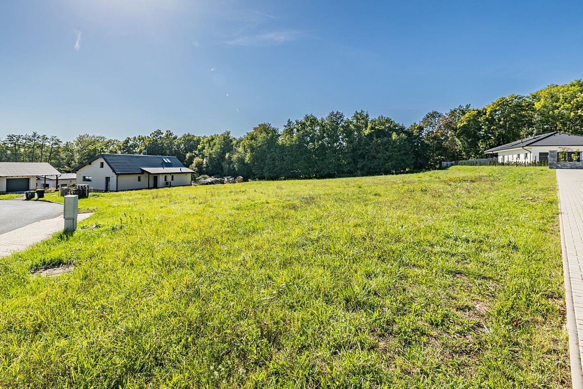 Prodej stavebního pozemku 2425 m² – fotografie 3