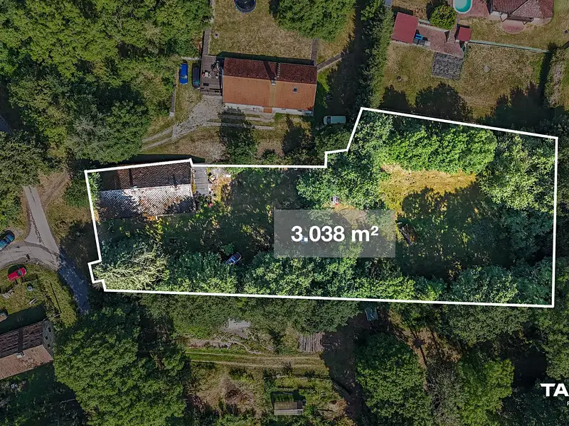 Prodej rodinného domu 356 m², pozemek 3038 m², Bělá nad Radbuzou – náhled fotky 2