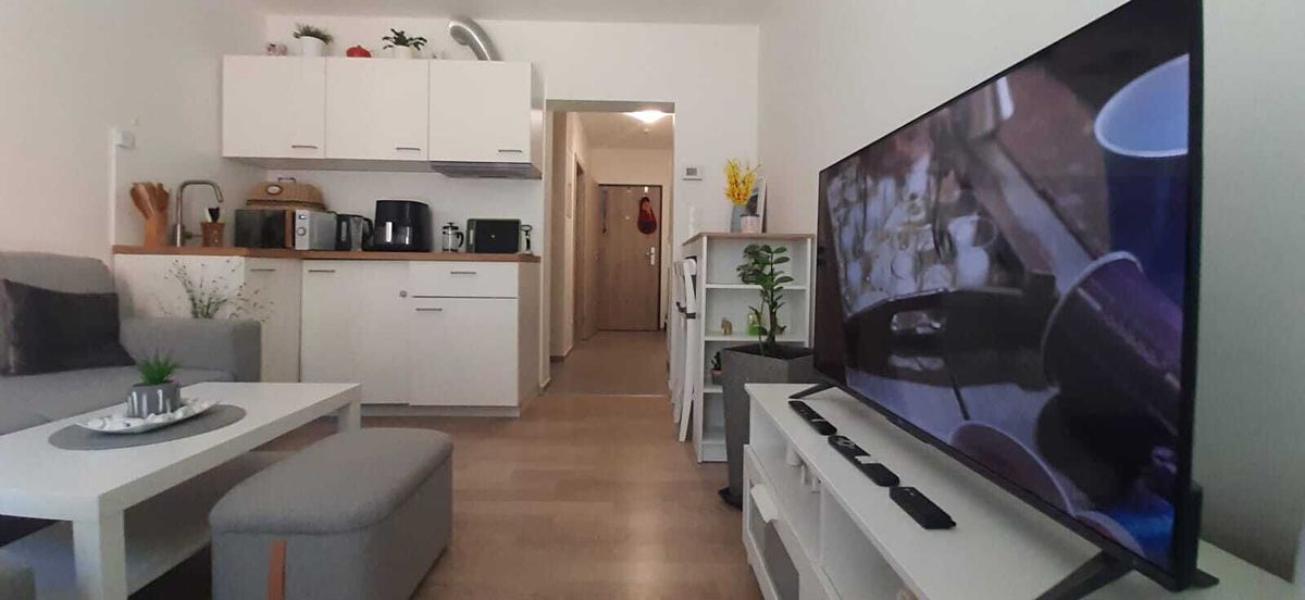 Pronájem bytu 1+kk 54 m²