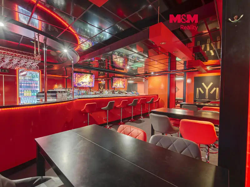 Pronájem obchodního prostoru 208 m², Plzeň – náhled fotky 1