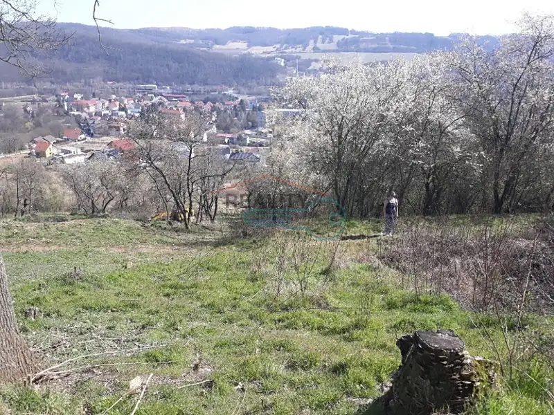 Prodej pozemku 8255 m², Vráž – náhled fotky 3