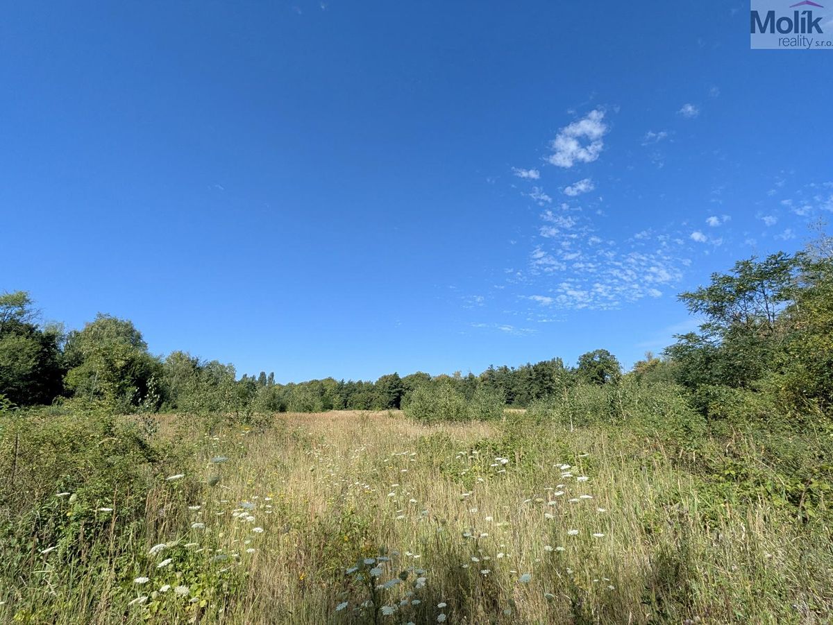 Prodej stavebního pozemku 1155 m² – fotografie 4
