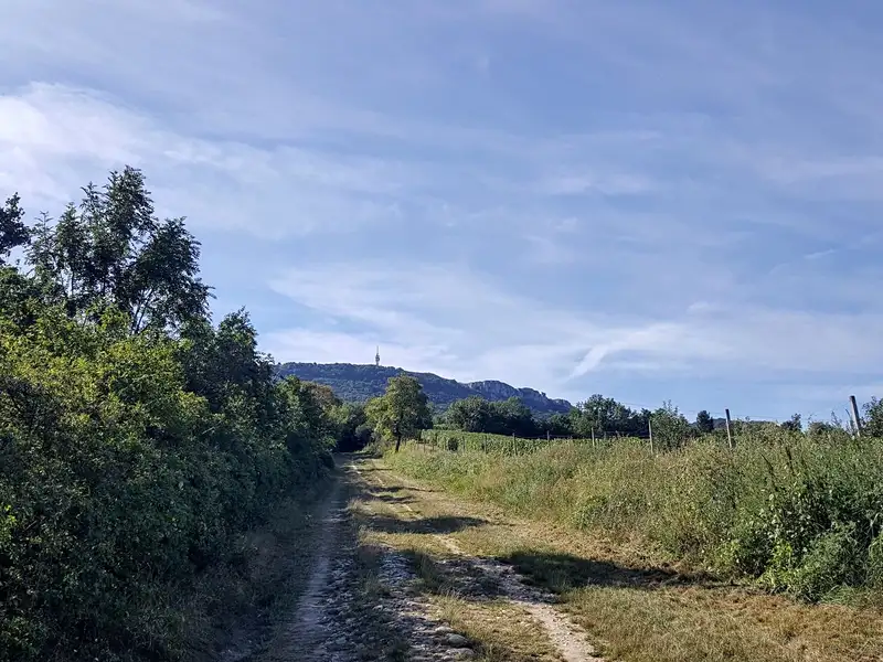 Prodej stavebního pozemku 834 m², Dolní Věstonice – náhled fotky 1