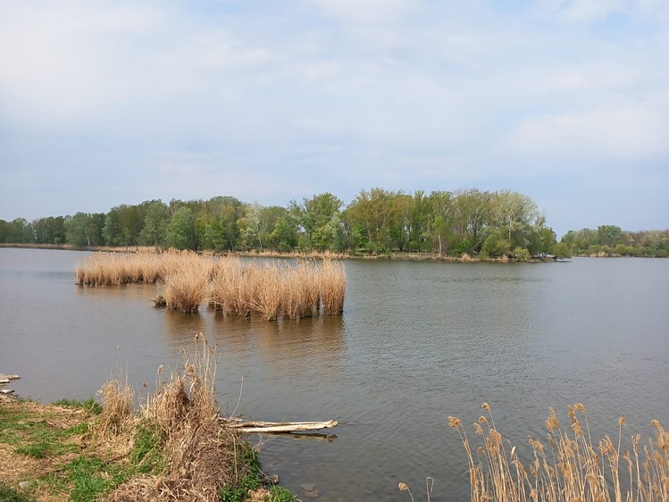 Ostatní
