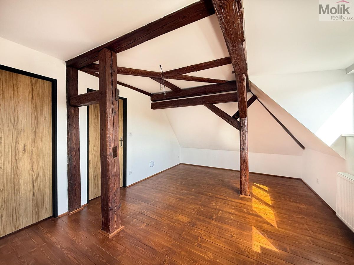 Pronájem bytu 3+kk 54 m² – fotografie 3