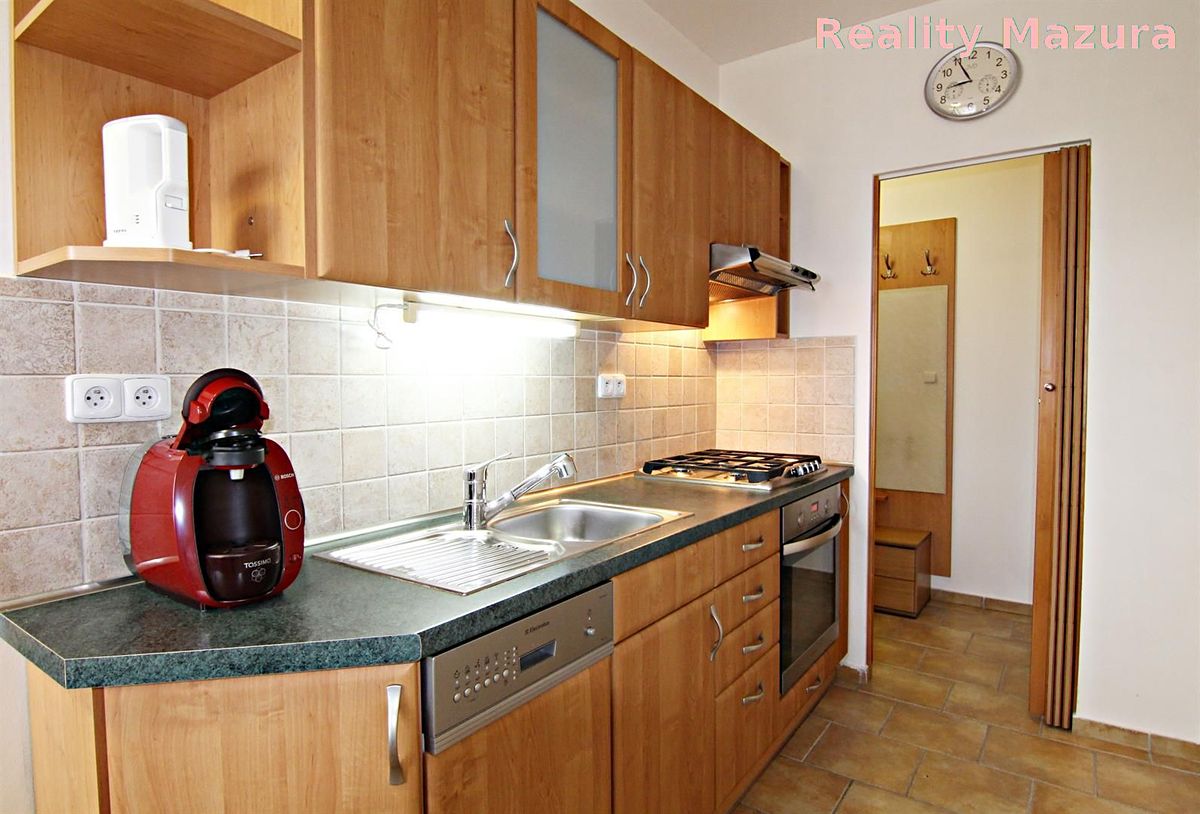 Pronájem bytu 1+1 38 m²