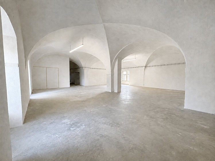 Pronájem komerčního prostoru, 605 m² (9 z 15)