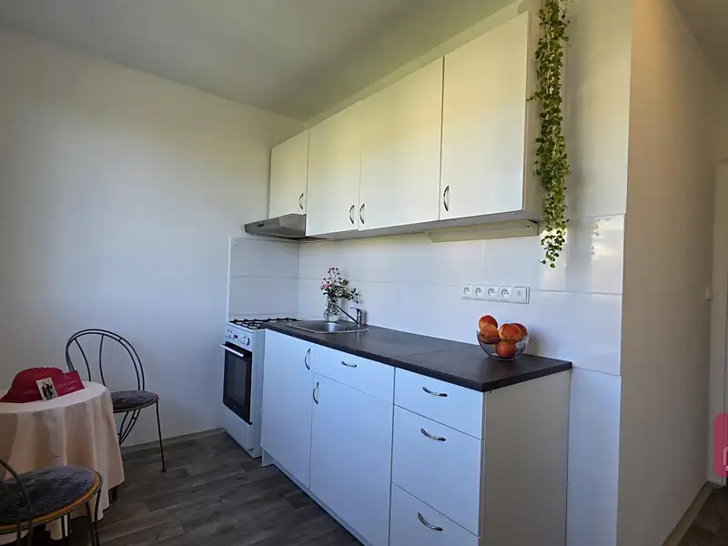 Prodej bytu 2+1 55 m², Brno – náhled fotky 2