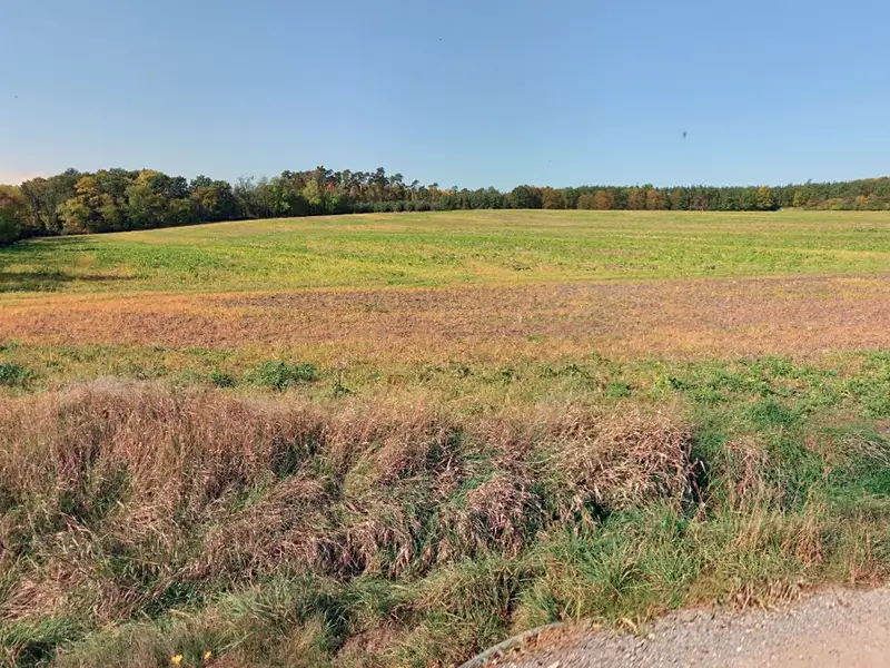 Prodej pole 4588 m², Konárovice – náhled fotky 2