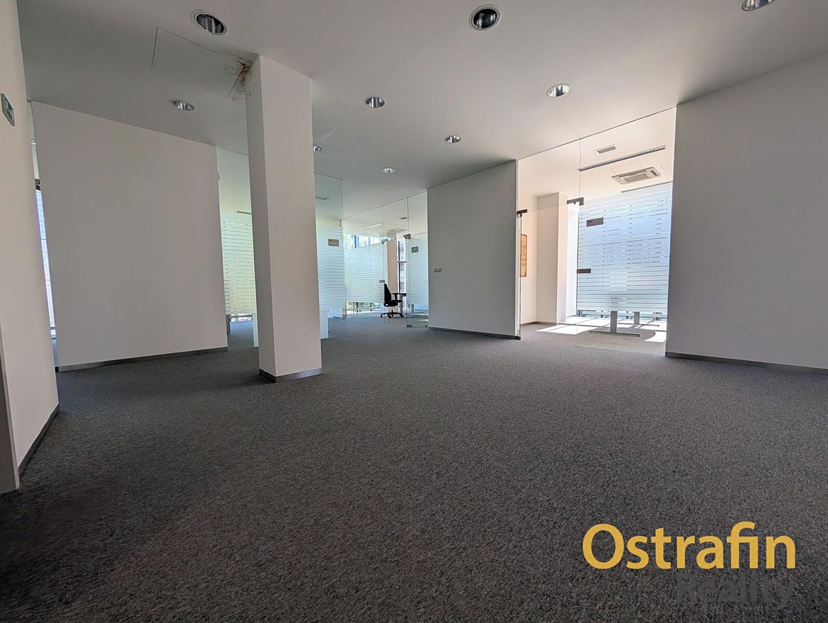 Pronájem obchodního prostoru 489 m² – fotografie 5