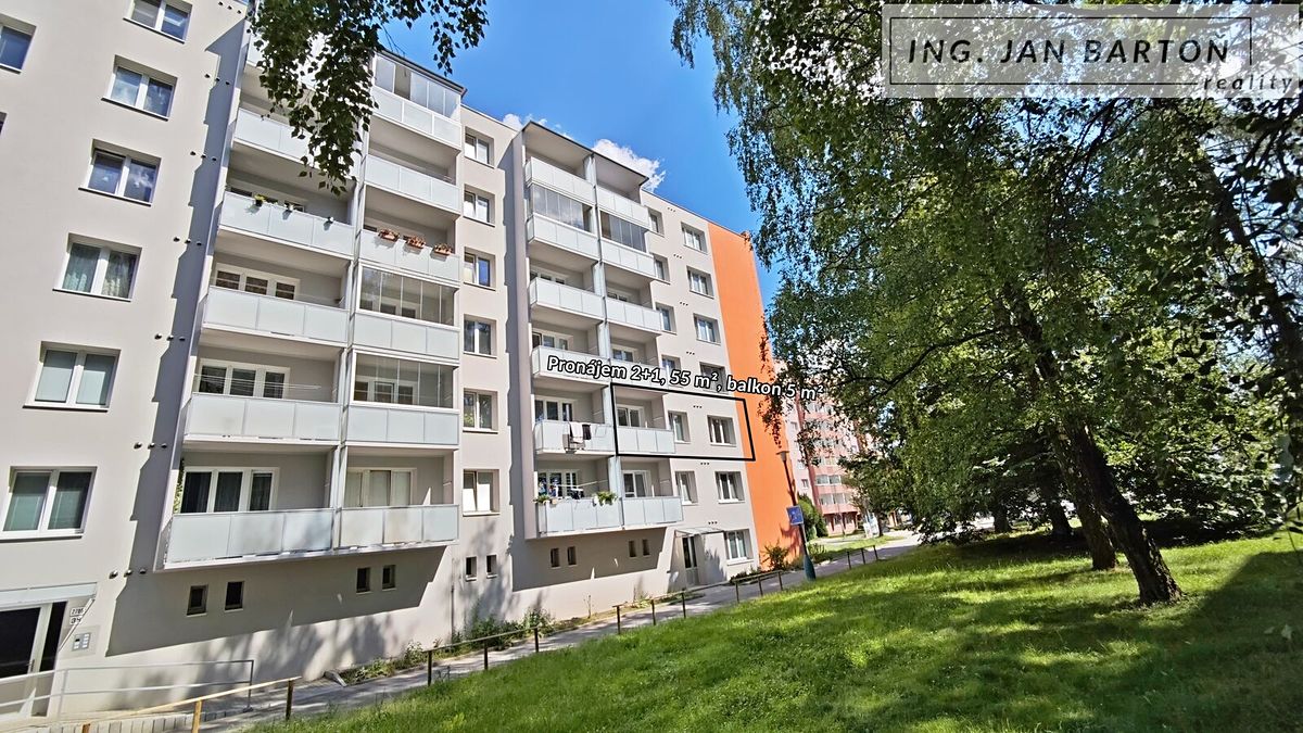 Pronájem bytu 2+1 55 m²
